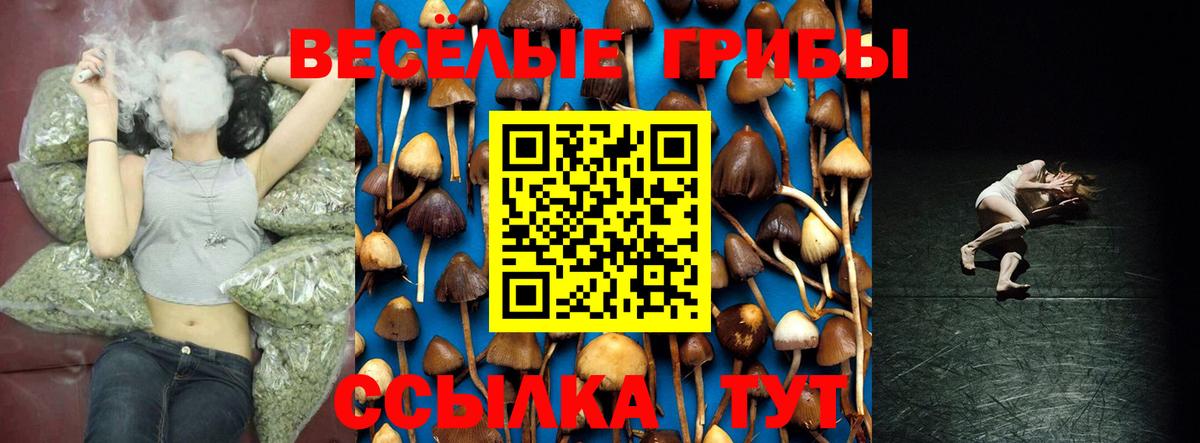 Галлюциногенные грибы Magic Shrooms  Вход с VPN  Вологда 